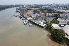 Khu công nghiệp Biên Hòa 1 có vị trí đắc địa, tiếp giáp sông Đồng Nai. (Ảnh: Công Phong/TTXVN)