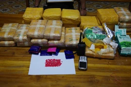 (Ảnh minh họa: TTXVN phát)