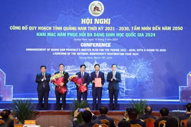 Phó Thủ tướng Trần Lưu Quang trao Quyết định quy hoạch tỉnh Quảng Nam cho lãnh đạo tỉnh Quảng Nam. (ẢNh: Trần Tĩnh/TTXVN)