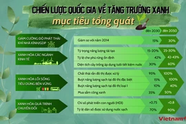 Đích đến của Việt Nam trong Chiến lược Quốc gia về Tăng trưởng Xanh