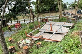 Chủ đầu tư khu du lịch Đồi Cừu Hải Vân tự ý chặt cây, lắp đặt các sạp gỗ để kinh doanh. (Ảnh: TTXVN phát)