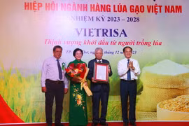 Thứ trưởng Bộ Nội vụ Vũ Chiến Thắng (phải) trao quyết định thành lập Hiệp hội Ngành hàng lúa gạo Việt Nam cho đại diện Hiệp hội. (Ảnh: Thu Hiền/TTXVN)