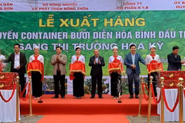 Các đại biểu cắt băng xuất lô hàng bưởi Diễn đầu tiên sang thị trường Hoa Kỳ. (Ảnh: Thanh Hải/TTXVN)