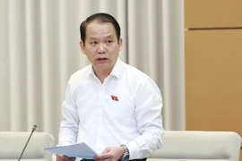 Chủ nhiệm Ủy ban Pháp luật của Quốc hội Hoàng Thanh Tùng trình bày báo cáo thẩm tra. (Ảnh: Doãn Tấn/TTXVN)