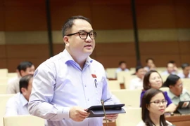 Đại biểu Quốc hội tỉnh Lạng Sơn Phạm Trọng Nghĩa phát biểu ý kiến. (Ảnh: Doãn Tấn/TTXVN)