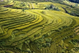 [Photo] Ruộng bậc thang Miền Đồi-Ẩn số chưa khai phá của Hòa Bình 
