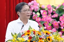 Ủy viên Bộ Chính trị, Trưởng Ban Kinh tế Trung ương Trần Tuấn Anh phát biểu tại buổi làm việc. (Ảnh: Huyền Trang/TTXVN)