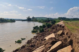 Sạt lở ven cánh đồng xã Nâm N’Đir, huyện Krông Nô, tỉnh Đắk Nông, khiến cây trồng, đường giao thông bị xóa sổ. (Ảnh: Minh Hưng/TTXVN)
