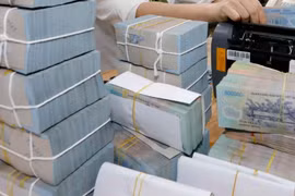 Kiểm tiền tại một ngân hàng. (Ảnh: Trần Việt/TTXVN)