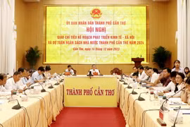 Quang cảnh hội nghị. (Ảnh: Thu Hiền/TTXVN)