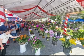 Đông đảo người dân đến chiêm ngưỡng hoa lan. (Nguồn: báo Nhân dân)