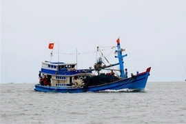 (Ảnh minh họa. Hồng Đạt/TTXVN)