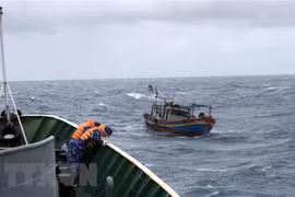 Huy động lực lượng hỗ trợ một tàu cá bị chìm khi vào khu tránh trú bão. (Ảnh minh họa. Minh Huệ/TTXVN)