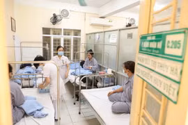 Bệnh nhân điều trị sốt xuất huyết tại Bệnh viện Hữu nghị Việt Nam-Cuba. (Ảnh: Minh Quyết/TTXVN)