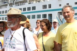 Ảnh chỉ mang tính minh họa. (Nguồn: TTXVN)