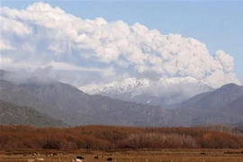 Đám mây tro bụi từ núi lửa Puyehue ở Chile. (Ảnh: Internet)