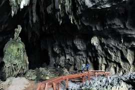 Phong Nha-Kẻ Bàng. (Ảnh: TTXVN)