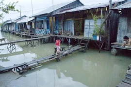 Ảnh minh họa. (Nguồn: Internet)