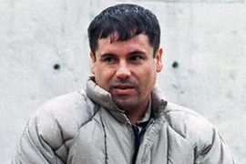 "Bố già" Chapo Guzman. (Nguồn: Internet) 