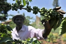 Ảnh minh họa. (Nguồn: AFP)