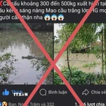 Tài khoản Facebook mang tên N.H.T đăng tải thông tin cá sấu nặng 300-500kg xuất hiện trên kênh xáng Nàng Mau (Hậu Giang) là sai sự thật. (Ảnh: TTXVN phát)
