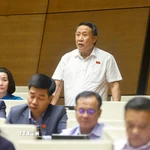 Đại biểu Quốc hội tỉnh Quảng Trị Hà Sỹ Đồng phát biểu. (Ảnh: Doãn Tấn/TTXVN)