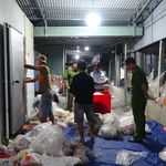 Sản phẩm động vật đông lạnh không có hóa đơn, chứng từ chứng minh nguồn gốc xuất xứ hợp pháp được lực lượng chức năng phát hiện. (Ảnh: TTXVN phát)