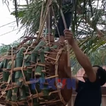 Quảng Trị: Độc đáo lễ hội đập trống người Ma Coong 