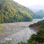 Tình trạng rác, gỗ phủ kín mặt sông Nậm Nơn, lòng hồ Thủy điện Bản Vẽ ảnh hưởng nghiêm trọng đến giao thông đường thủy. (Ảnh: Xuân Tiến/TTXVN)