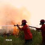 Indonesia nỗ lực khống chế cháy rừng tại Vườn Quốc gia Núi Bromo