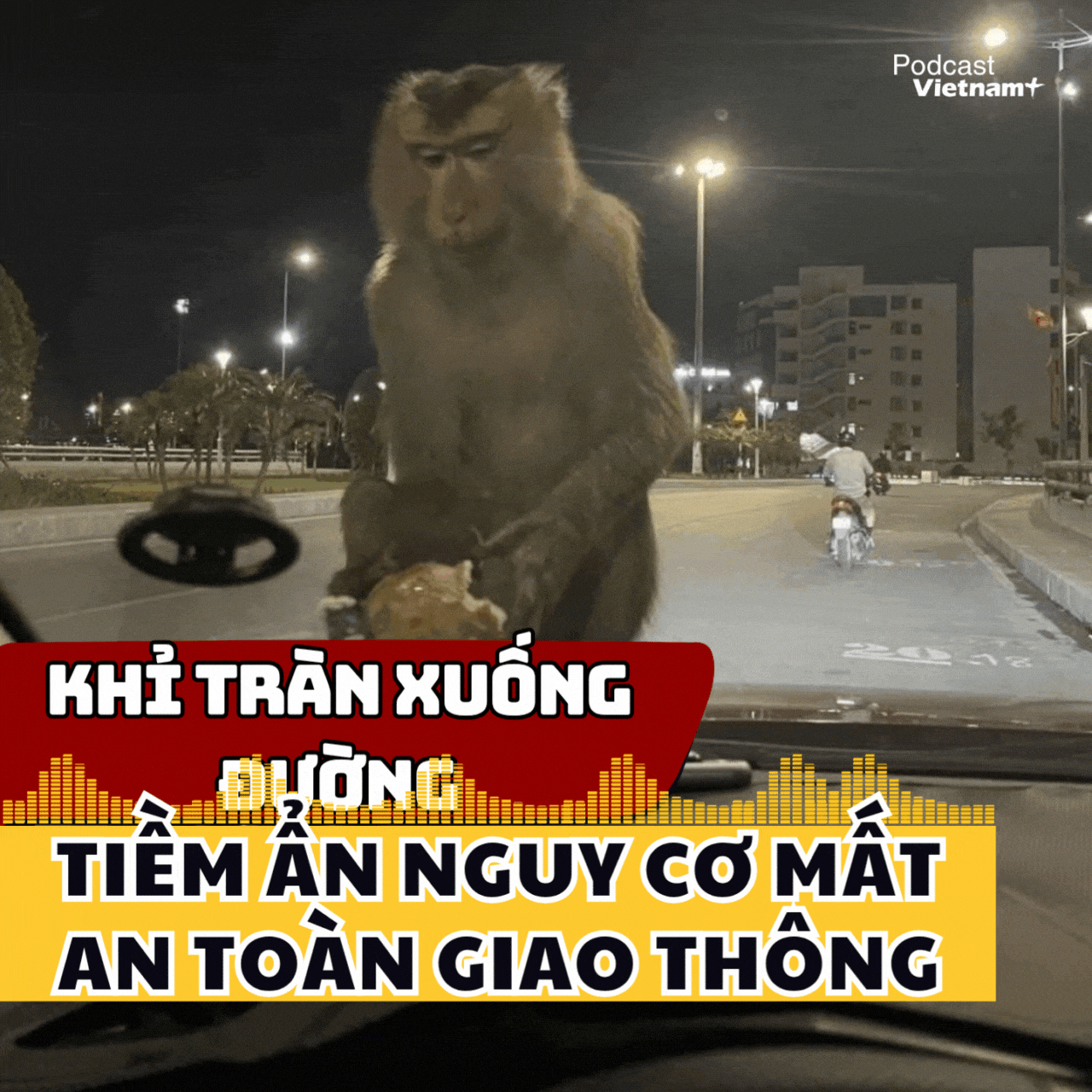 Khỉ từ núi Bài Thơ tràn xuống đường, tiềm ẩn nguy cơ mất an toàn giao thông