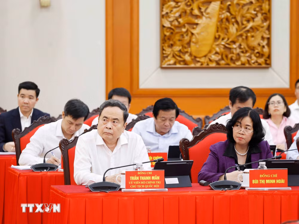 ttxvn-tong-bi-thu-chu-tich-nuoc-to-lam-chu-tri-phien-hop-thu-nhat-ban-chi-dao-trung-uong-ve-doi-ngoai-va-hoi-nhap-quoc-te3.jpg