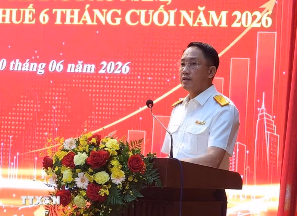 ttxvn-tp-ho-chi-minh-trien-khai-nhiem-vu-cong-tac-thue-6-thang-cuoi-nam3.jpg