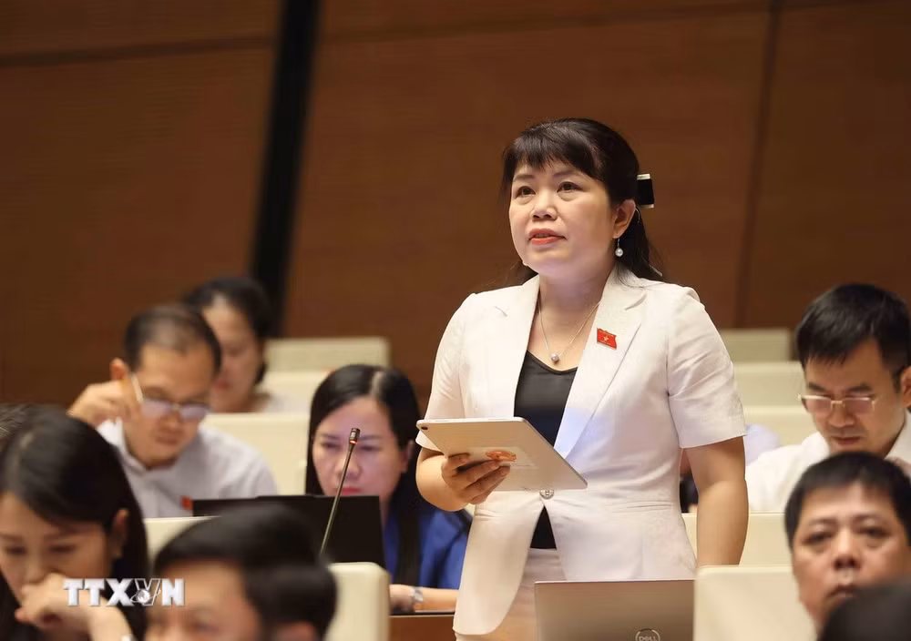 ttxvn-quoc-hoi-thao-luan-o-hoi-truong-ve-du-an-luat-sua-doi-bo-sung-mot-so-dieu-cua-luat-xuat-ban2.jpg