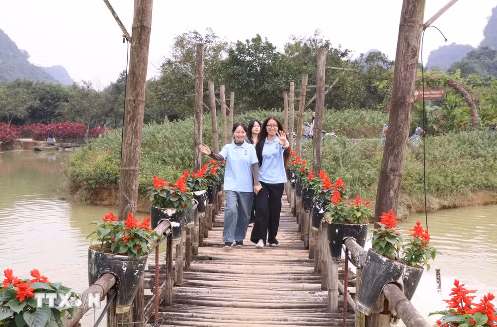 ttxvn-dao-hoa-thung-nham-ninh-binh2.jpg