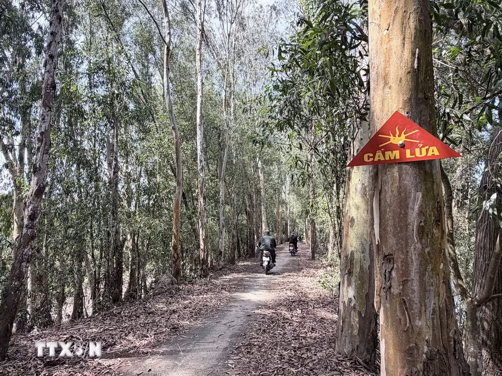 ttxvn-an-giang-canh-bao-chay-o-cap-cuc-ky-nguy-hiem-o-nhieu-khu-vuc-rung-tram3.jpg