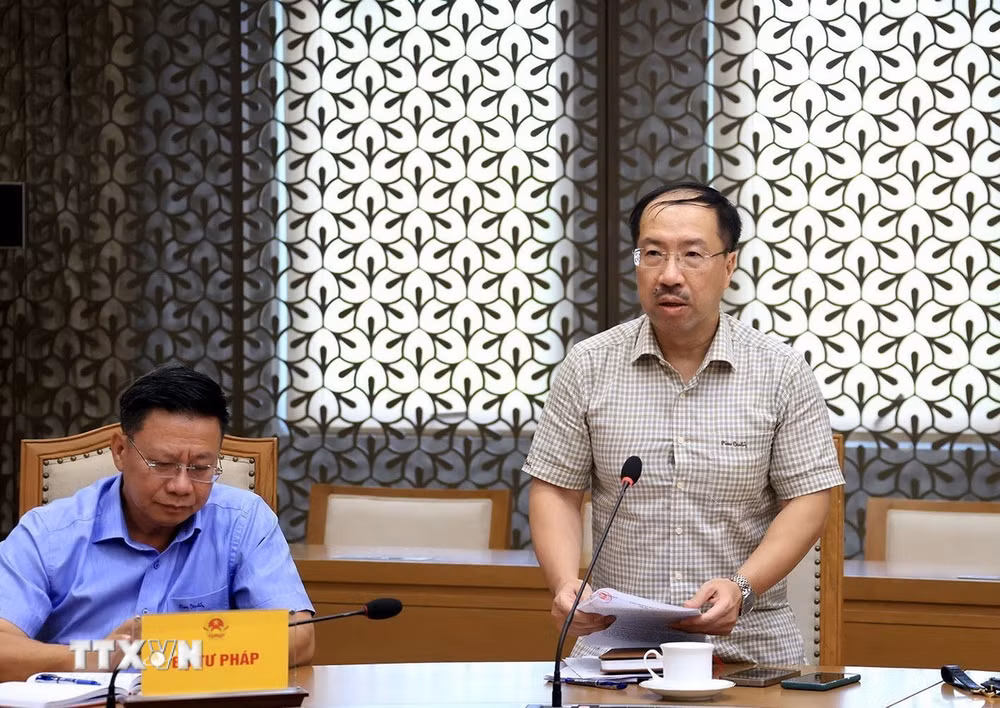 Phó Thủ tướng Lê Tiến Châu chủ trì họp góp ý vào 3 dự án luật- Ảnh 2.
