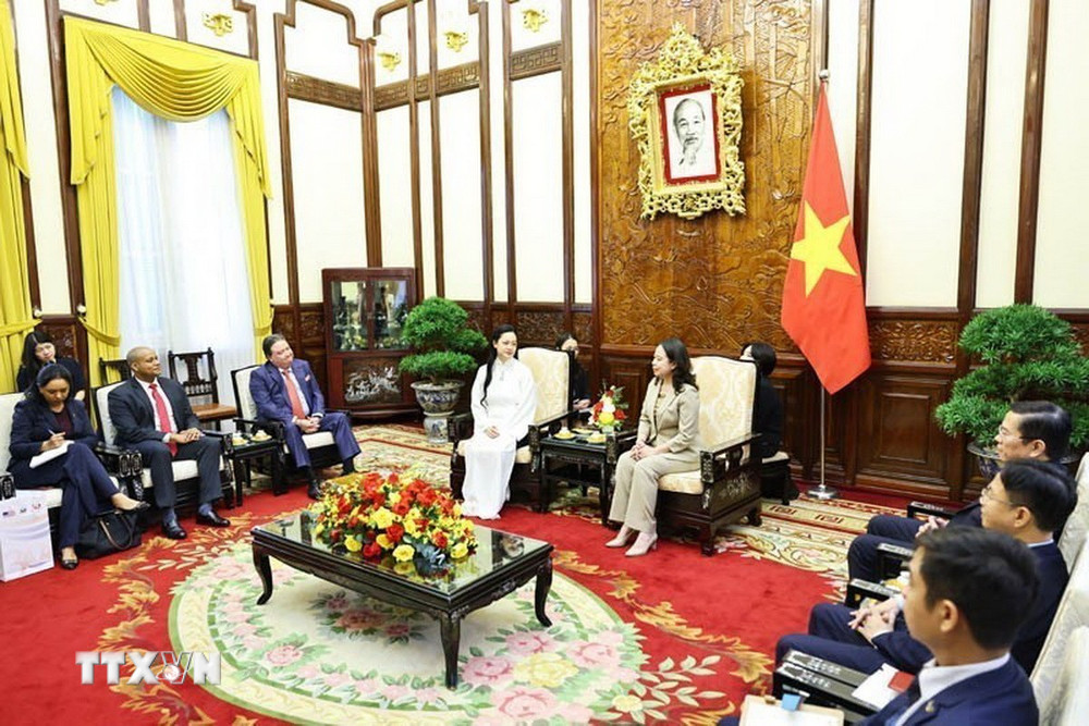 Phó Chủ tịch nước Võ Thị Ánh Xuân tiếp nữ phi hành gia Amanda Nguyễn- Ảnh 1.