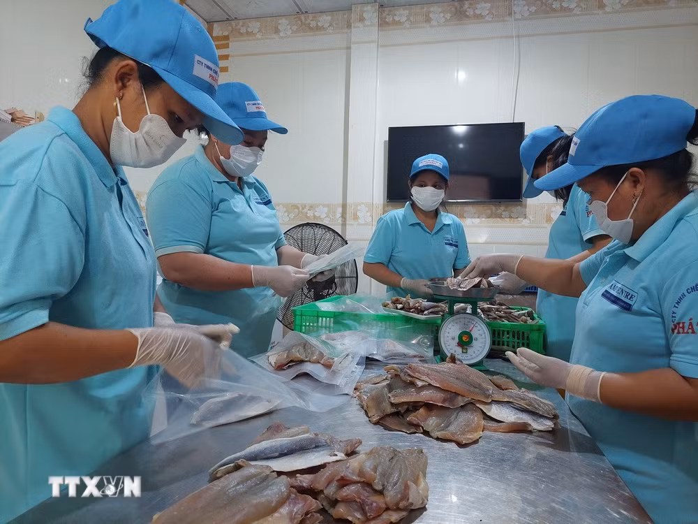 ttxvn-vinh-long-tap-trung-nang-chat-luong-san-pham-ocop.jpg