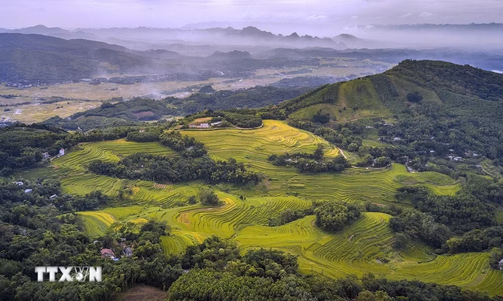 ttxvn-hoa-binh-mua-lua-chin-tren-nhung-thua-ruong-bac-thang-mien-doi.jpg