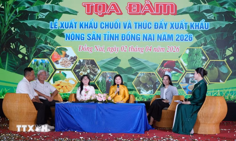 ttxvn-220-tan-chuoi-tuoi-dong-nai-len-duong-xuat-khau-ra-thi-truong-quoc-te3.jpg