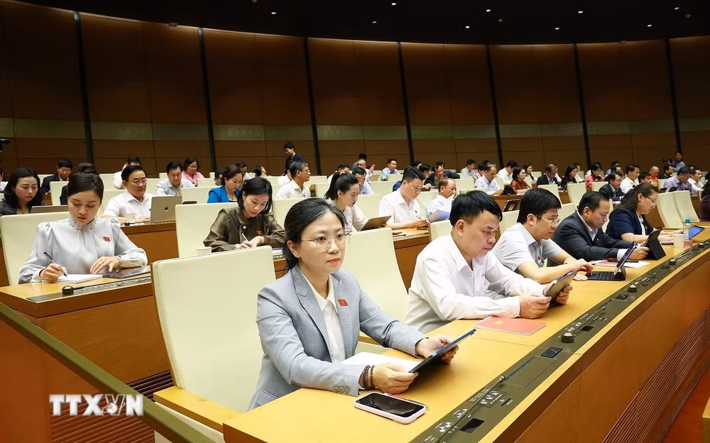 ttxvn-ky-hop-thu-nhat-quoc-hoi-khoa-xvi-quoc-hoi-ban-ve-luat-thu-do-sua-doi-va-mot-so-du-an-luat2.jpg