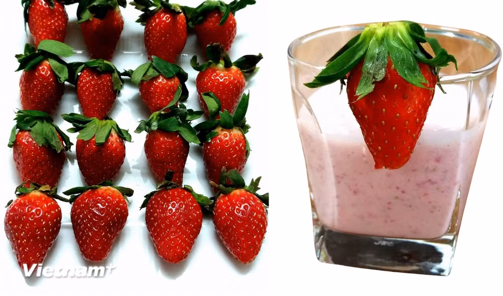vnp-dau-tay.png