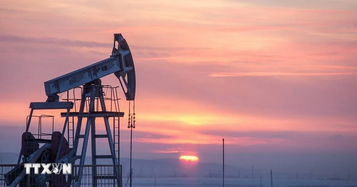 Giá dầu WTI có thể tăng lên 80 USD mỗi thùng nếu căng thẳng Mỹ-Iran kéo dài