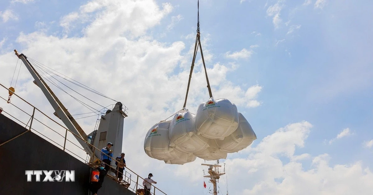 Giá gạo xuất khẩu tăng do nhu cầu của một số thị trường có dấu hiệu "ấm lên"