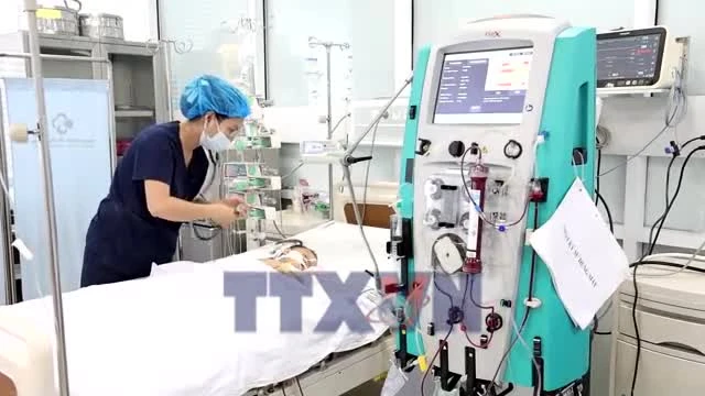 Cứu sống bé trai 15 tháng tuổi bị ong vò vẽ đốt nguy kịch
