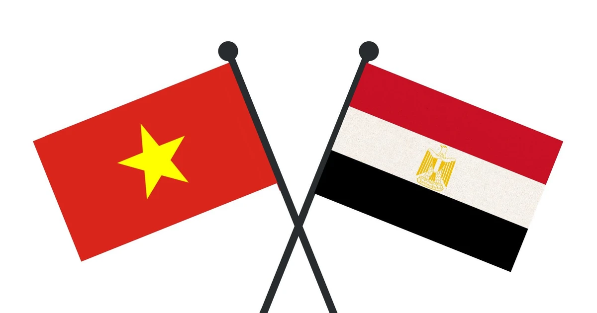 Bài viết