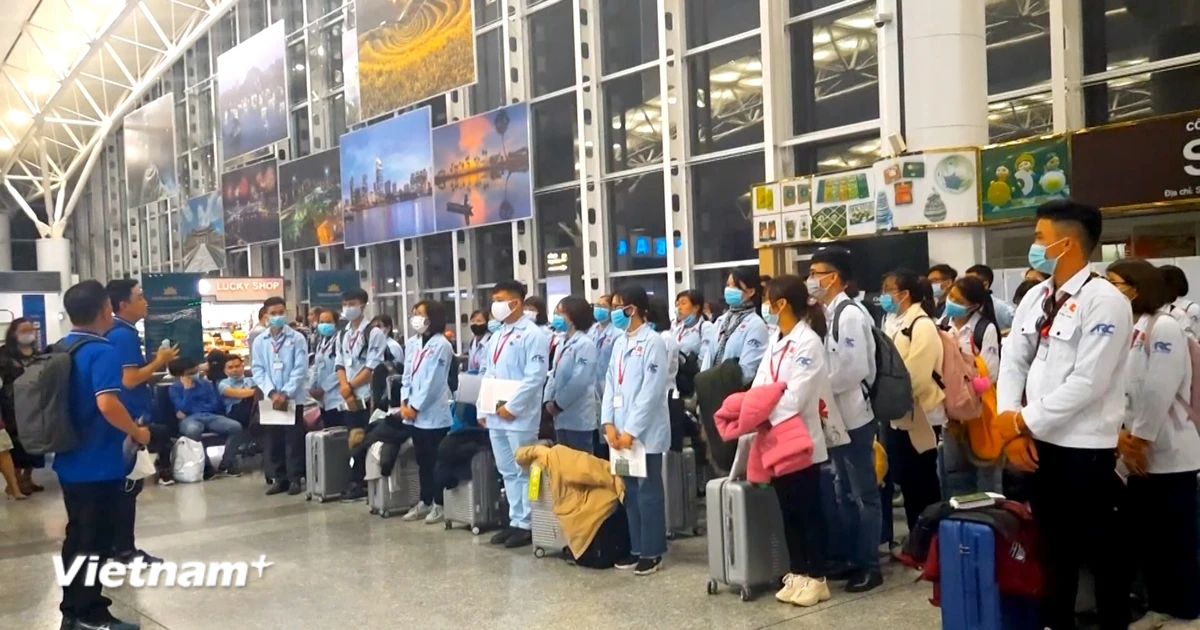 Hơn 85.700 lao động Việt Nam đi làm việc ở nước ngoài trong 7 tháng