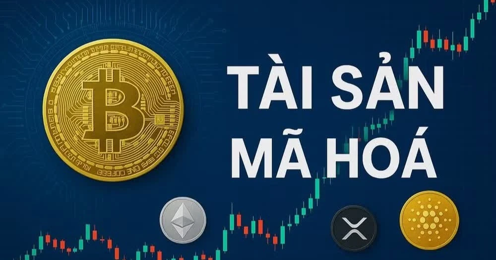 Tài sản mã hóa: Nhận diện các hành vi vi phạm và giải pháp an toàn thị