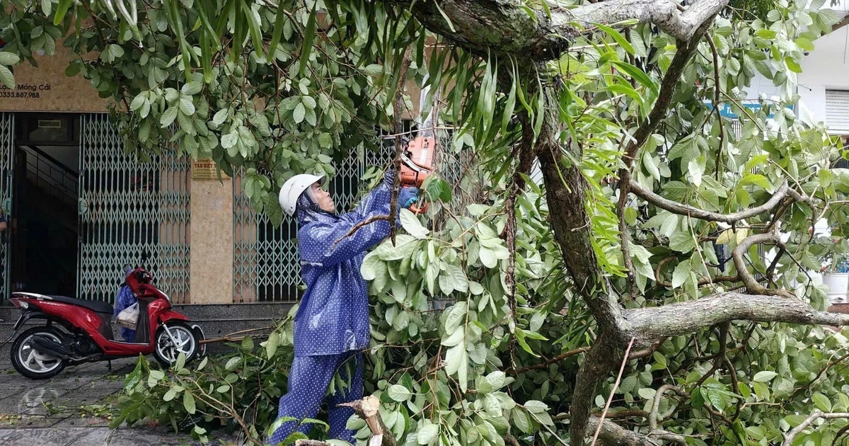 Thủ tướng Lê Minh Hưng làm Trưởng Ban Chỉ đạo Phòng thủ dân sự quốc gia